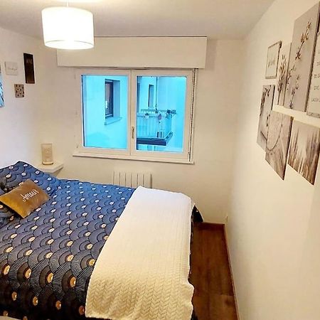 Appartement Cosy שטרסבורג מראה חיצוני תמונה