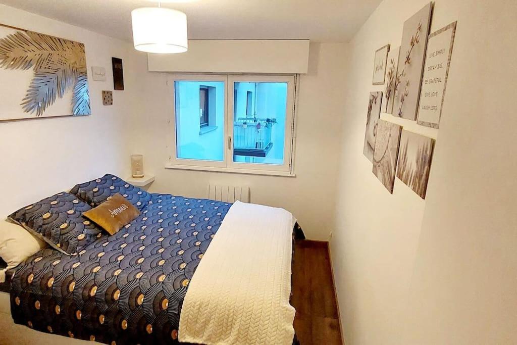 Appartement Cosy שטרסבורג מראה חיצוני תמונה